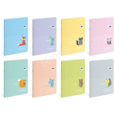 Zeszyt Interdruk B&B Kids Pastel A5/32k kratka Zeszyt Interdruk B&B Kids Pastel A5/32k kratka